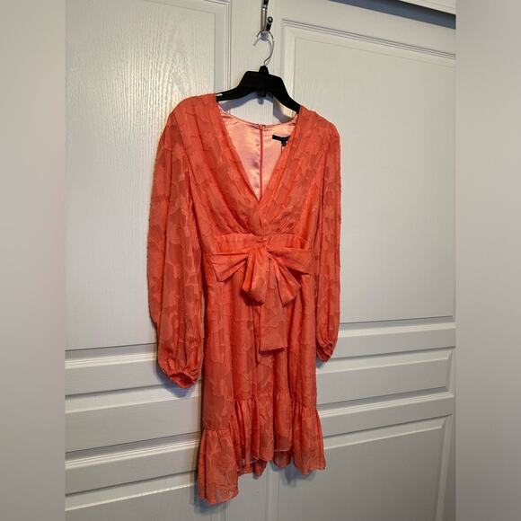 NWT Alex Marie Vibrant Coral Long Sleeve Dress sz 4 - Picture 2 of 5